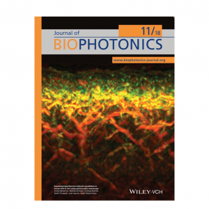 23 March 2018: INNODERM publication in the Journal of Biophotonics